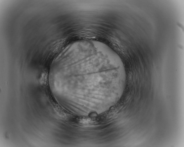 X0000094800177200711301547