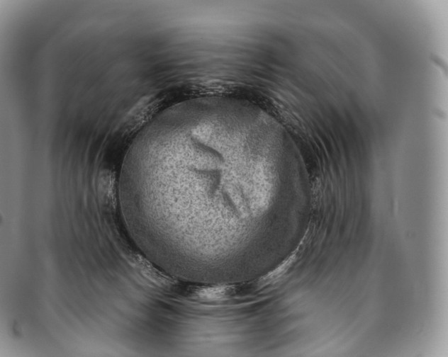 X0000094800178200711301547