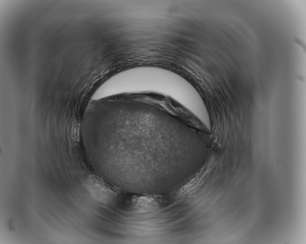 X0000094800180200711301547