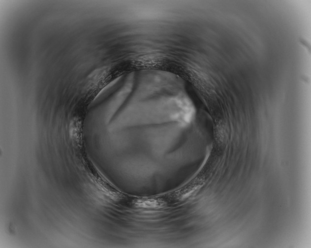 X0000094800181200711301547