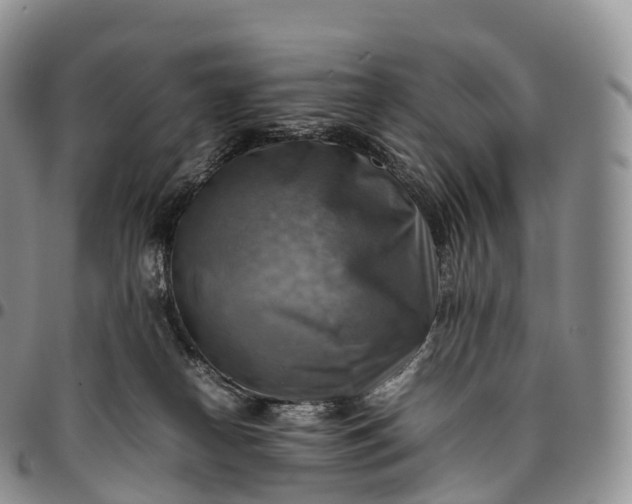 X0000094800182200711301547