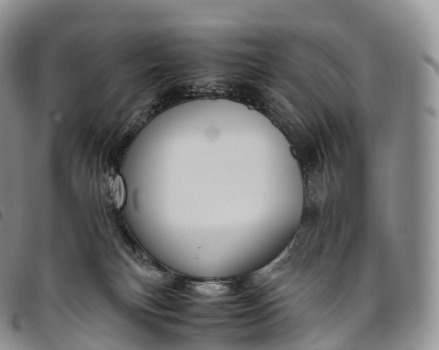 X0000094800183200711301547