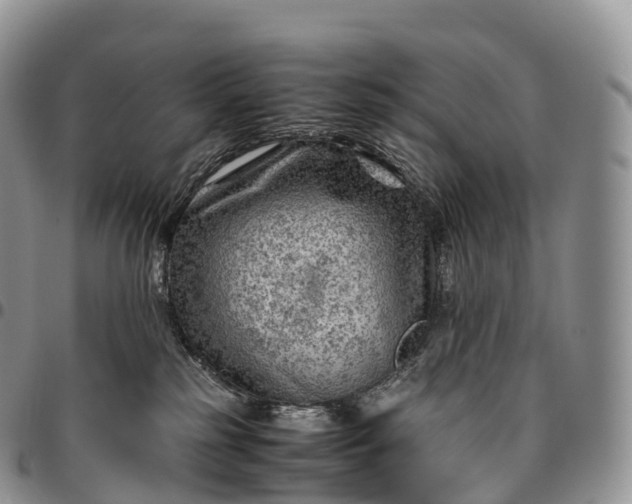 X0000094800185200711301547