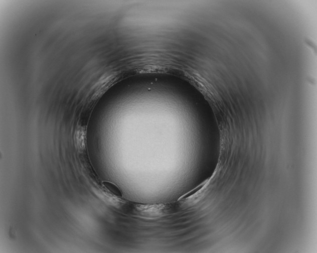 X0000094800191200711301547