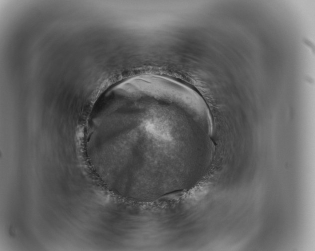 X0000094800192200711301547