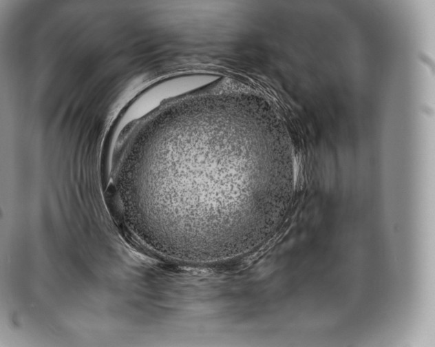 X0000094800195200711301547