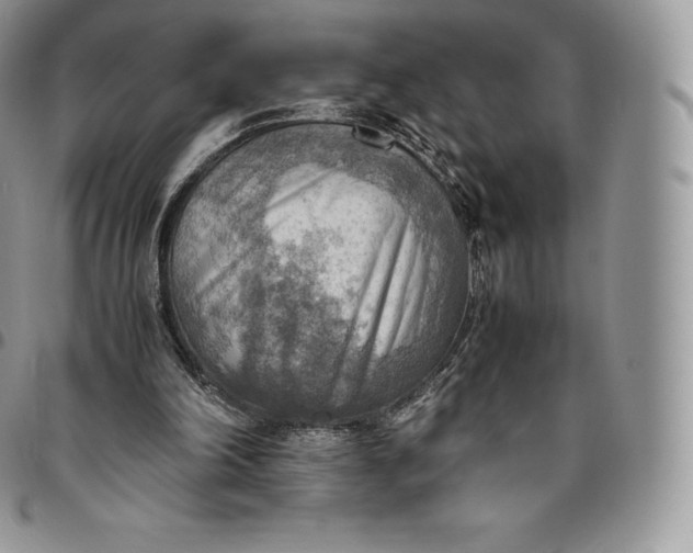 X0000094800198200711301547