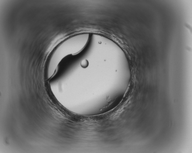 X0000094800199200711301547