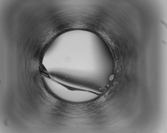 X0000094800201200711301547