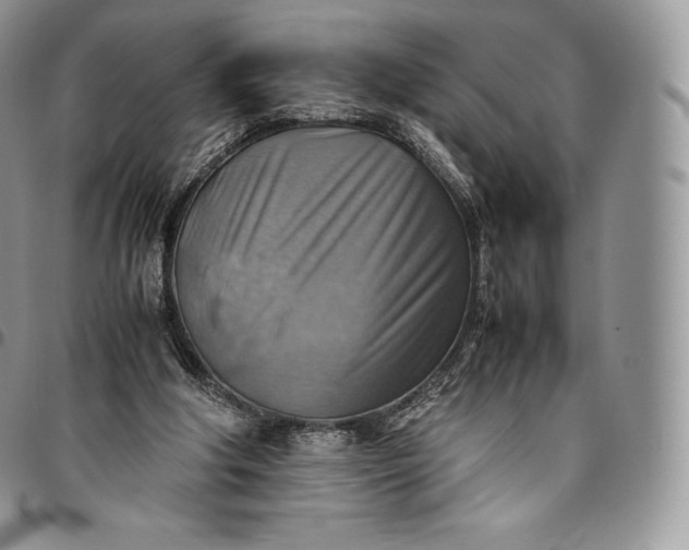 X0000094800202200711301547