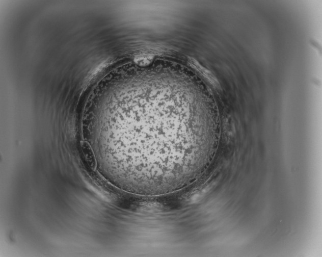 X0000094800203200711301546