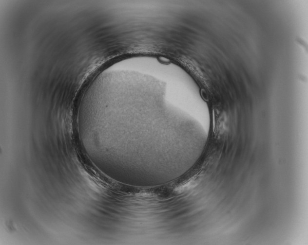 X0000094800204200711301546