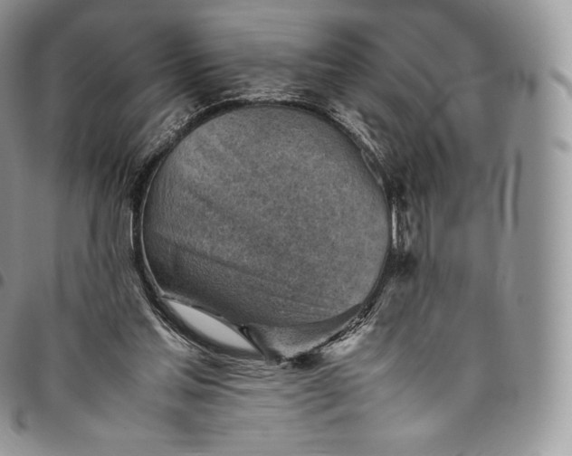 X0000094800205200711301546