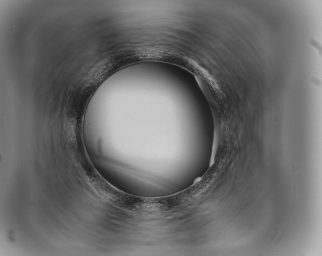 X0000094800209200711301546