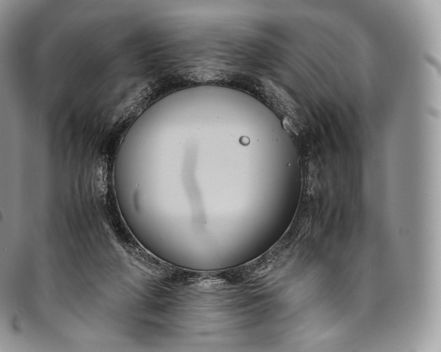 X0000094800210200711301546