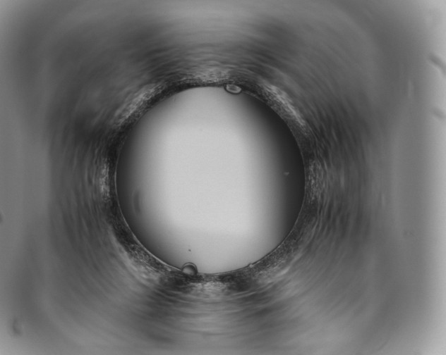 X0000094800212200711301546