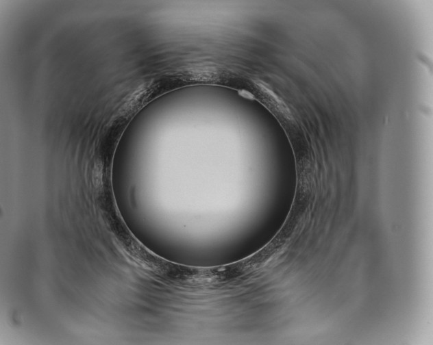 X0000094800213200711301546