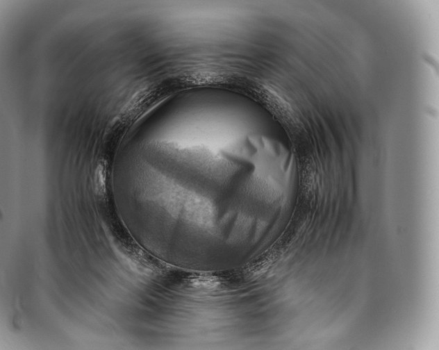 X0000094800214200711301546