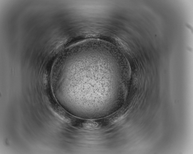 X0000094800215200711301546