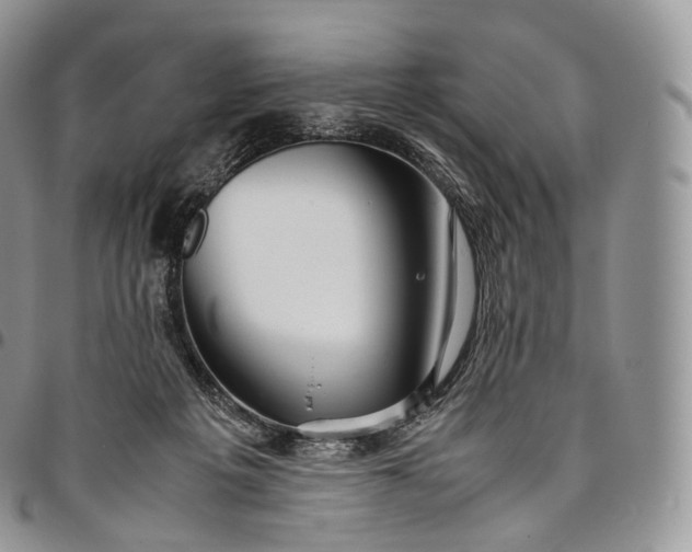 X0000094800217200711301546