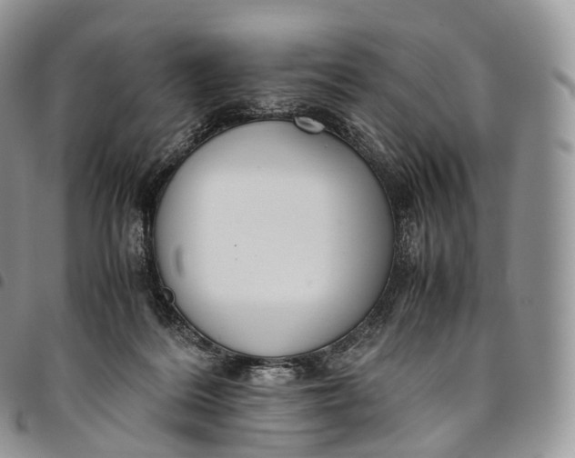 X0000094800220200711301546