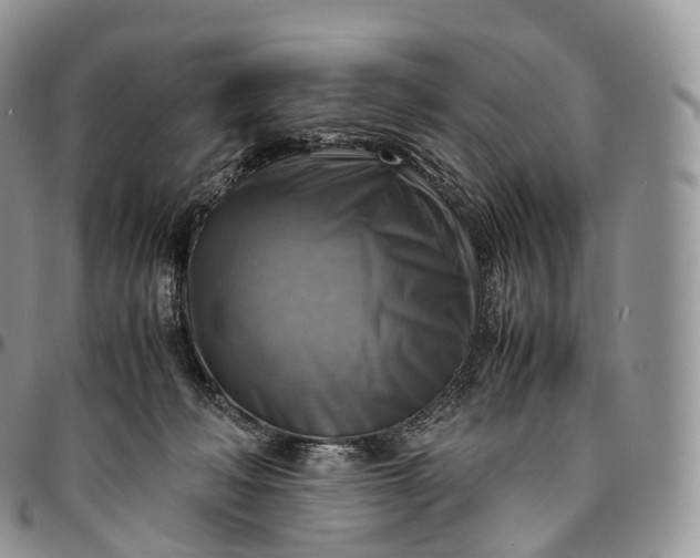 X0000094800222200711301546