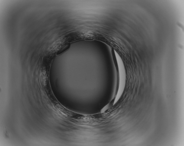 X0000094800223200711301546