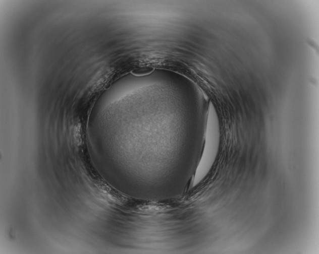 X0000094800224200711301546