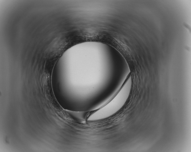 X0000094800225200711301546