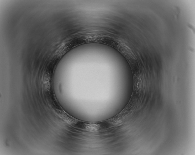 X0000094800226200711301546