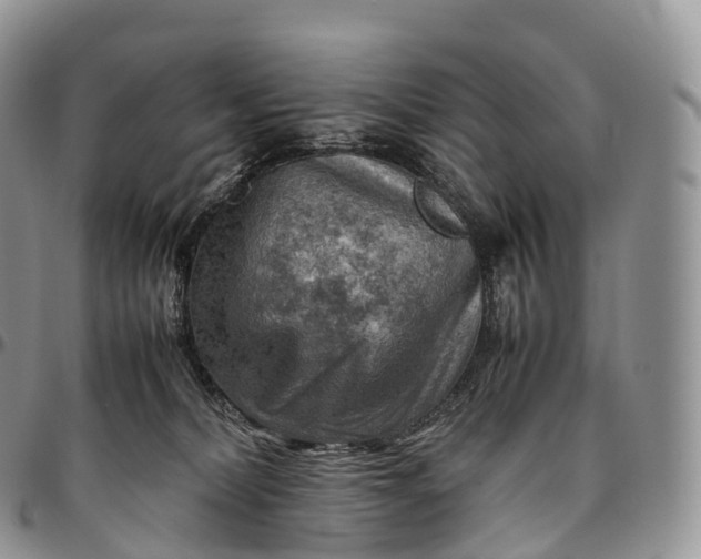 X0000094800228200711301546