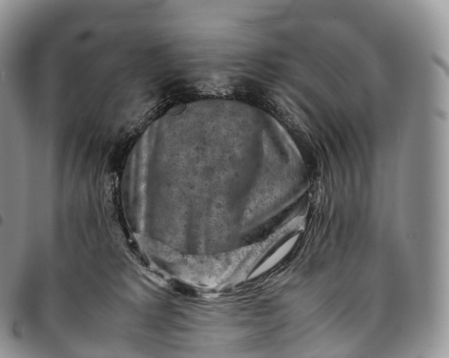 X0000094800229200711301546