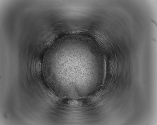 X0000094800230200711301546