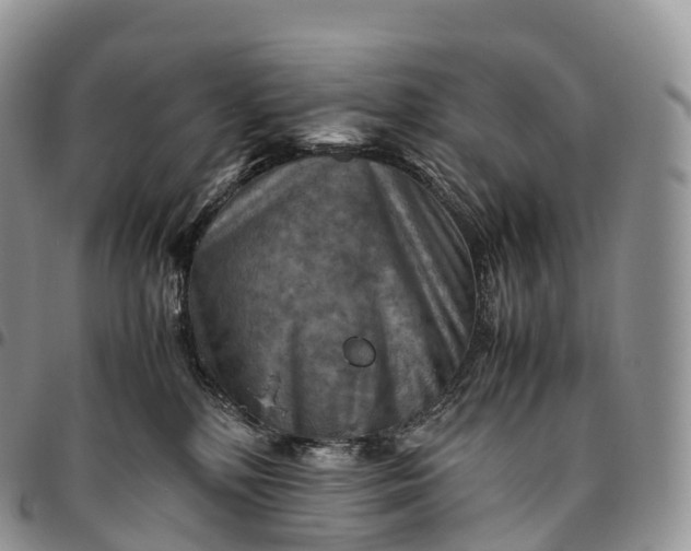 X0000094800232200711301546