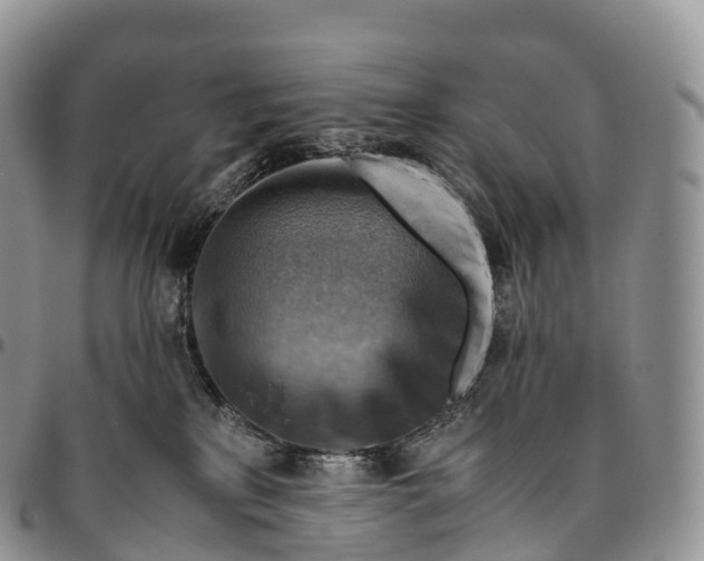 X0000094800233200711301546