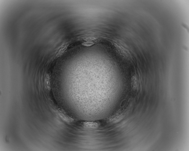 X0000094800234200711301546