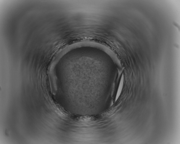 X0000094800235200711301546