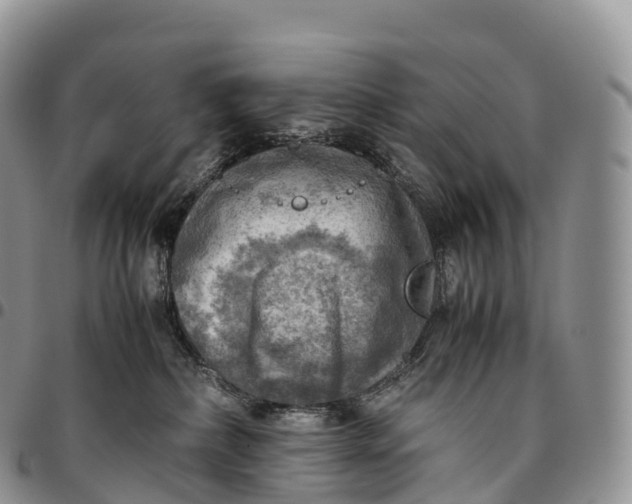 X0000094800236200711301546