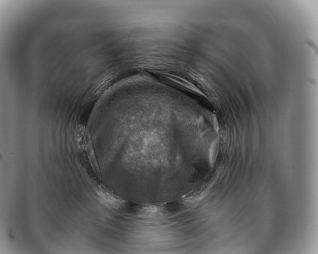 X0000094800237200711301546