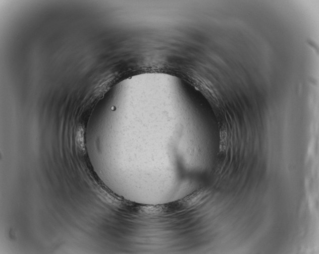 X0000094800238200711301546