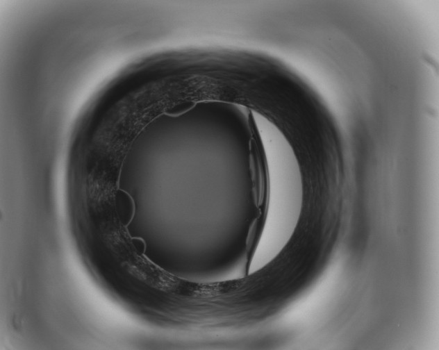 X0000094800239200711301546