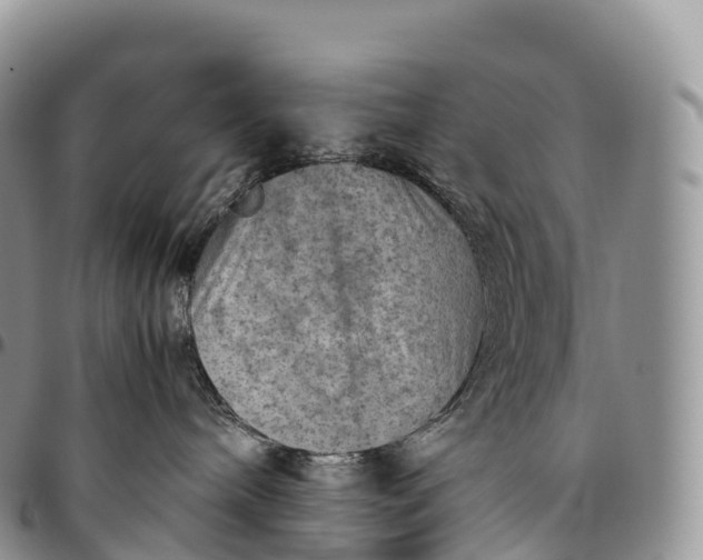 X0000094800240200711301546