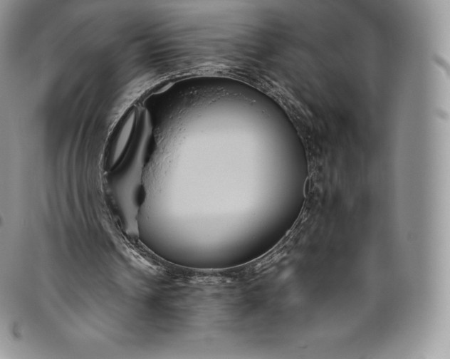X0000094800242200711301545