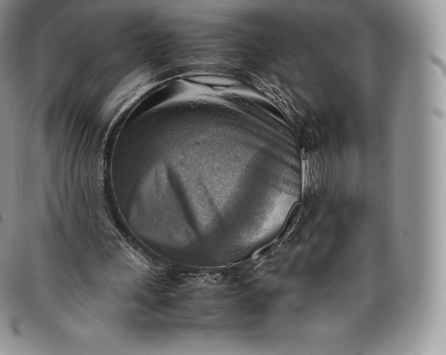 X0000094800243200711301545