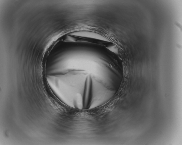 X0000094800244200711301545