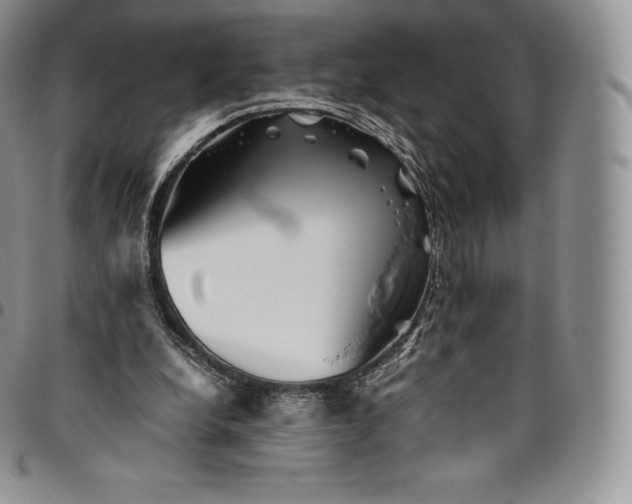X0000094800248200711301545