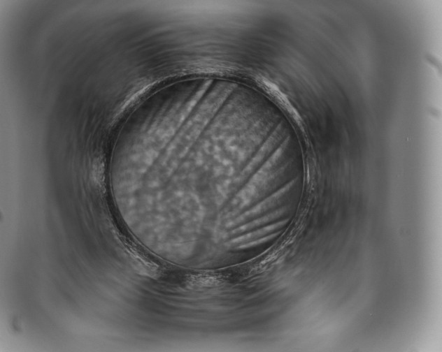X0000094800249200711301545