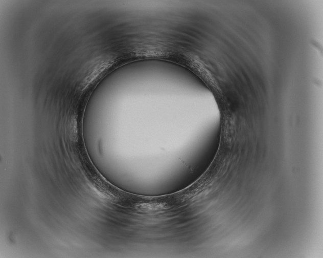 X0000094800251200711301545