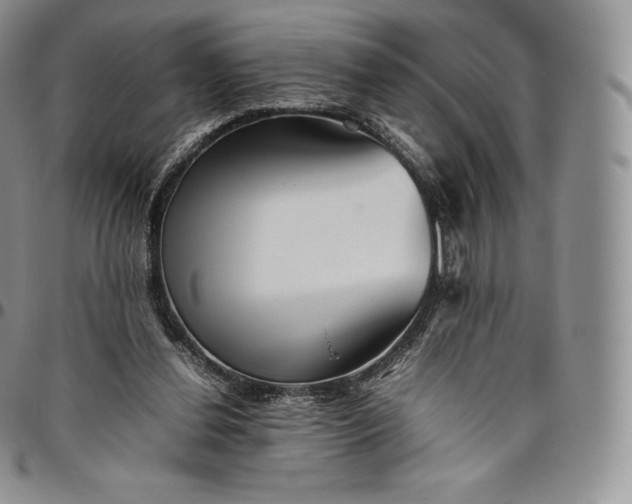 X0000094800252200711301545