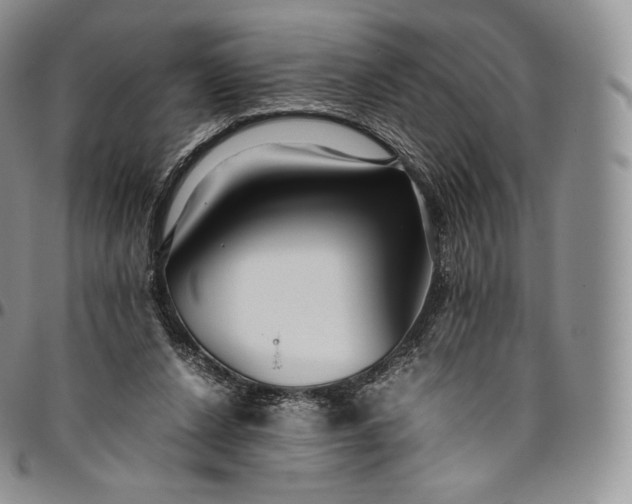 X0000094800256200711301545